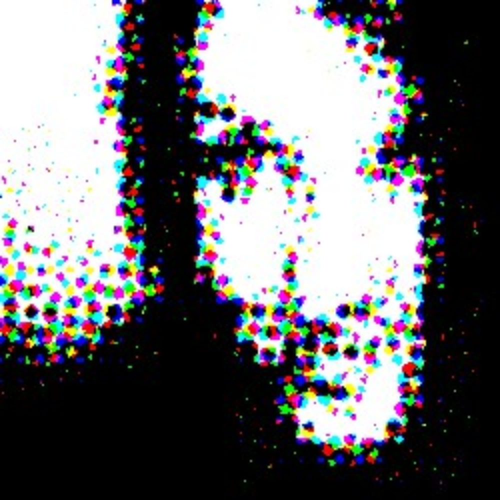 Meet your Posher, Sylvia